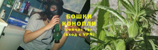 гашик Снежногорск