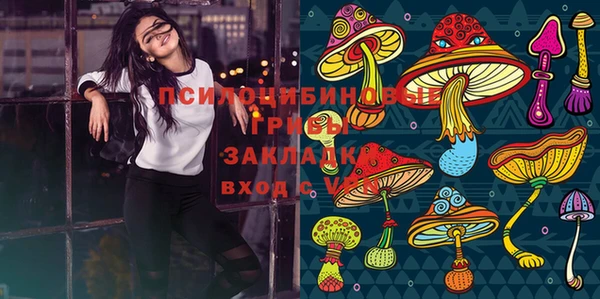 ПСИЛОЦИБИНОВЫЕ ГРИБЫ Белоозёрский
