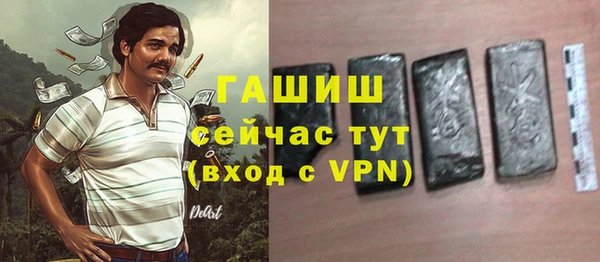 хмурый Белокуриха