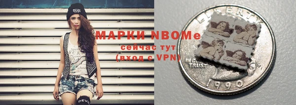 хмурый Белокуриха