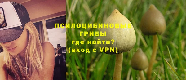 хмурый Белокуриха