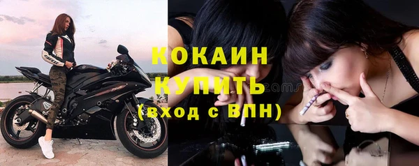 хмурый Белокуриха