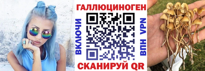 цена наркотик  Мглин  МЕГА ONION  Галлюциногенные грибы Psilocybine cubensis 
